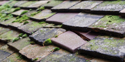Elton roof repair costs